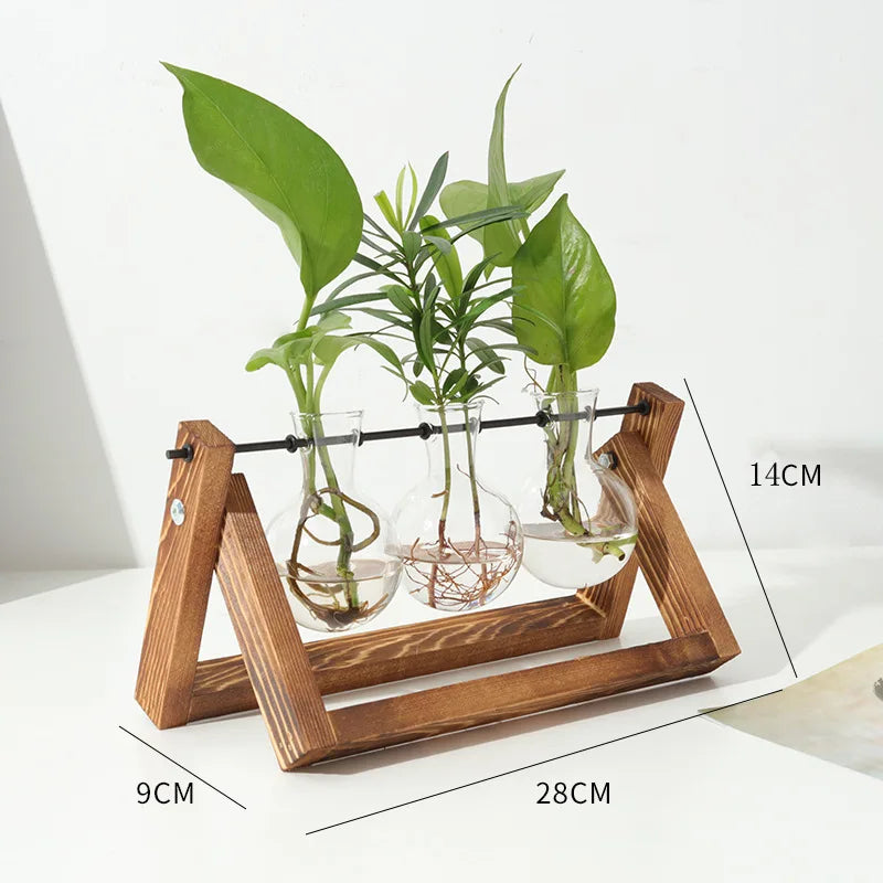 Wood & Glass Hydroponic Vase Holder