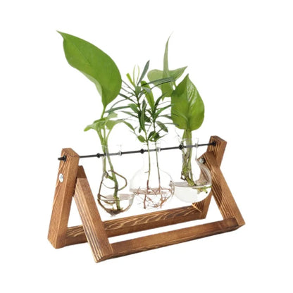Wood & Glass Hydroponic Vase Holder
