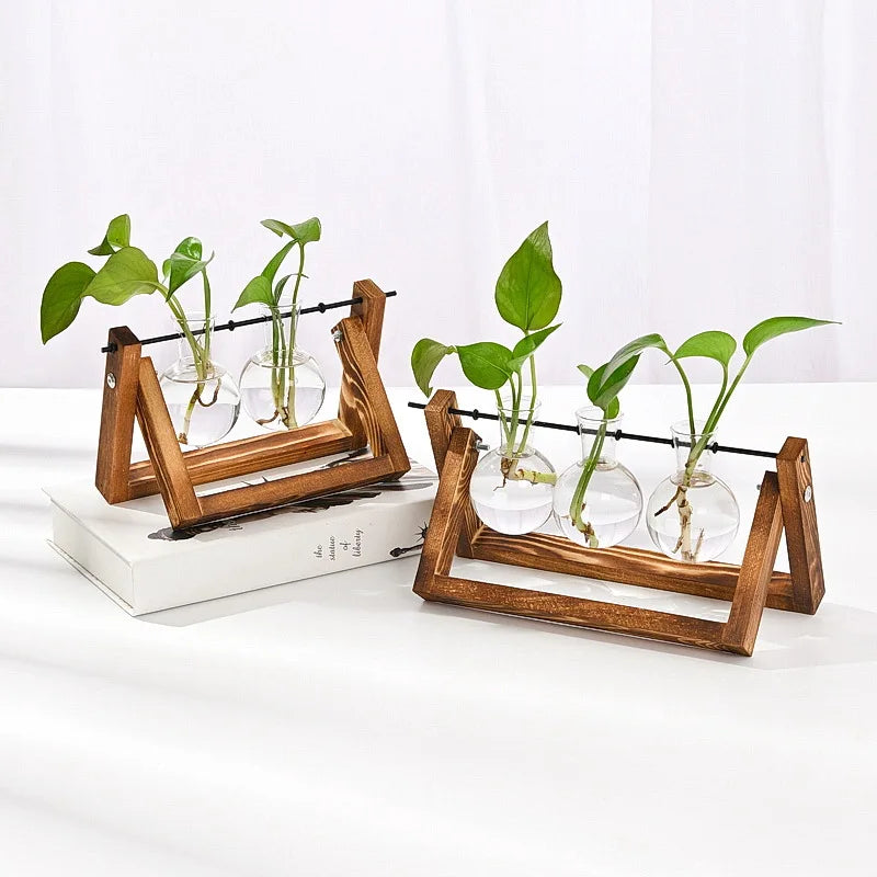 Wood & Glass Hydroponic Vase Holder