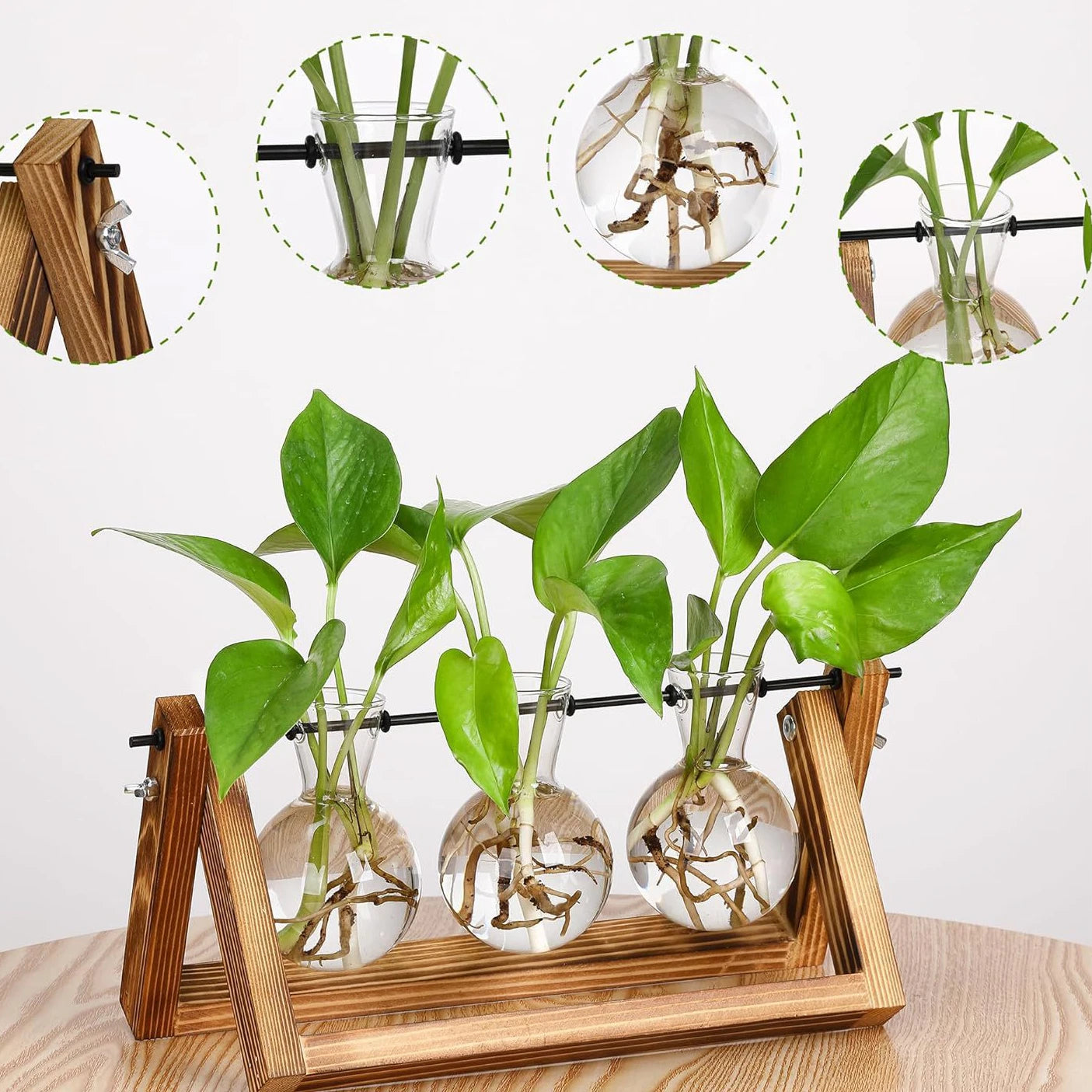 Wood & Glass Hydroponic Vase Holder