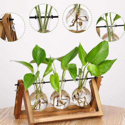 Wood & Glass Hydroponic Vase Holder