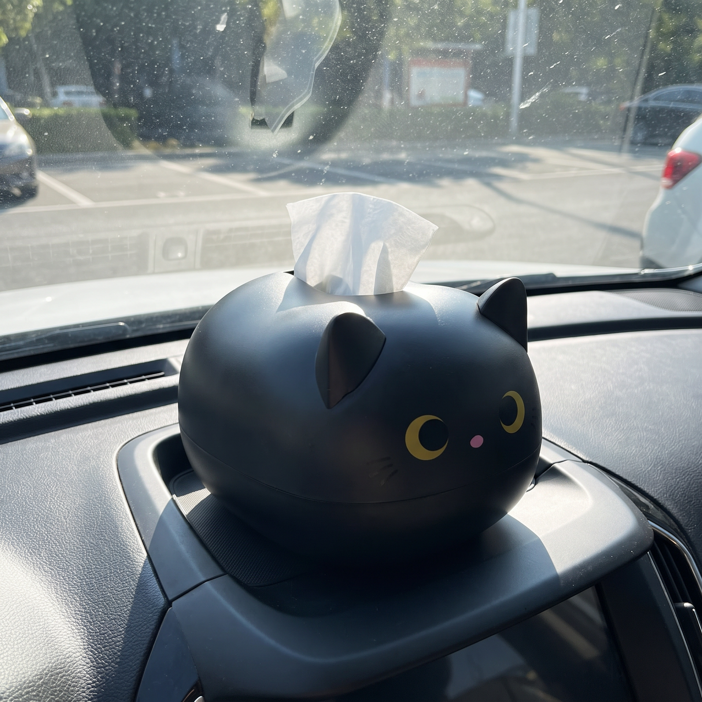 Cat tissue holder in a car