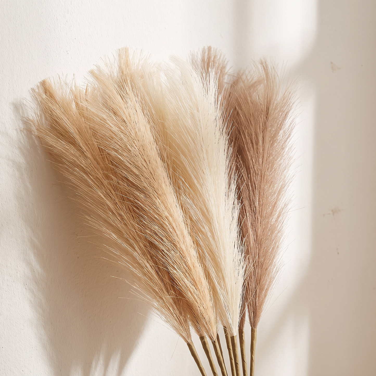 Close-up of the pampas plumes